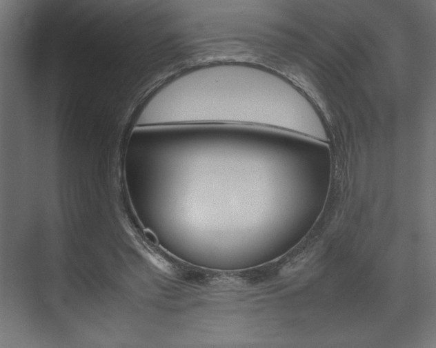 X0000074030397200608211141