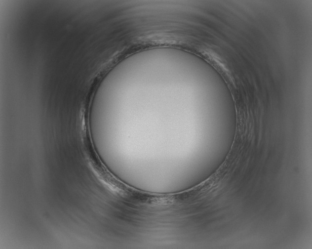 X0000074030398200608211141