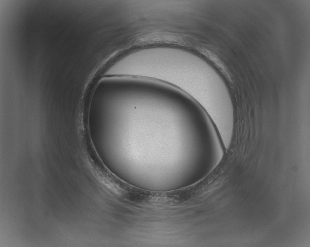 X0000074030399200608211141