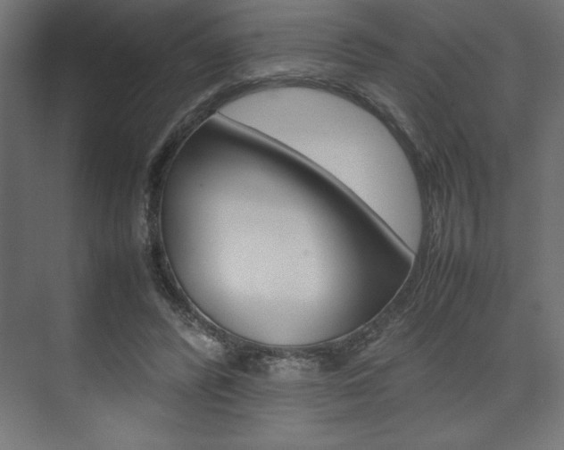 X0000074030400200608211141