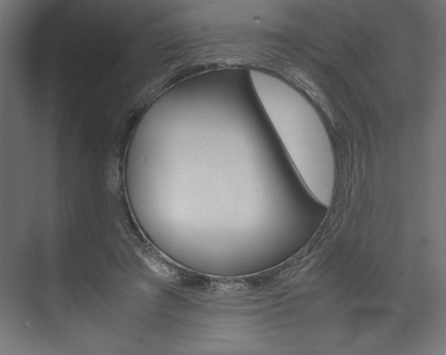 X0000074030401200608211141