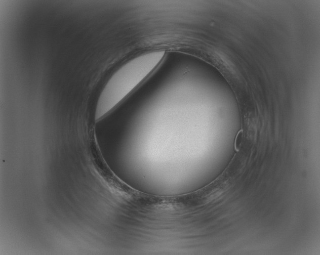 X0000074030404200608211141