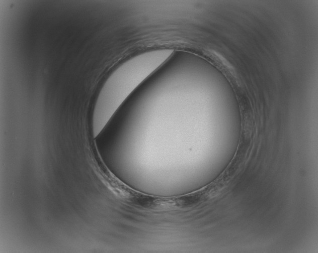 X0000074030405200608211141