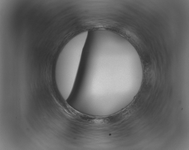X0000074030406200608211141