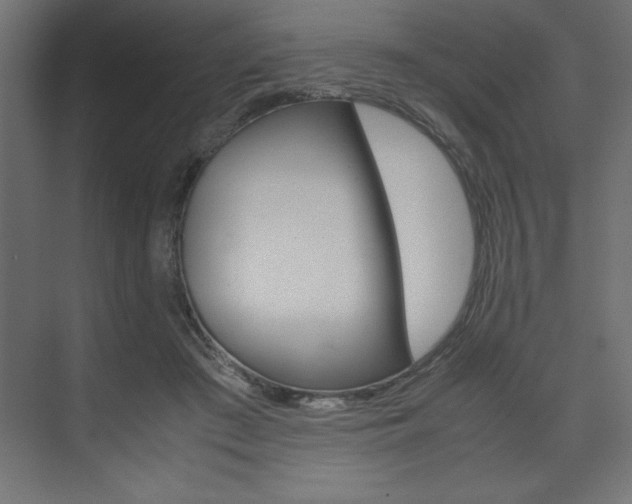 X0000074030409200608211141