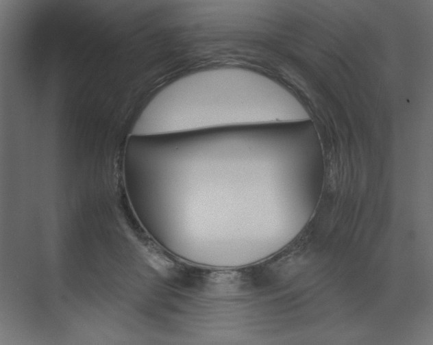 X0000074030410200608211141