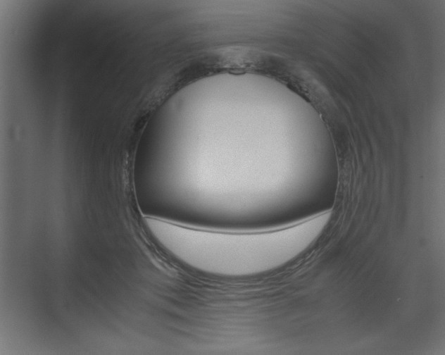 X0000074030413200608211141