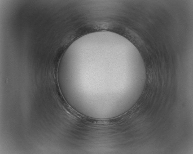 X0000074030414200608211141