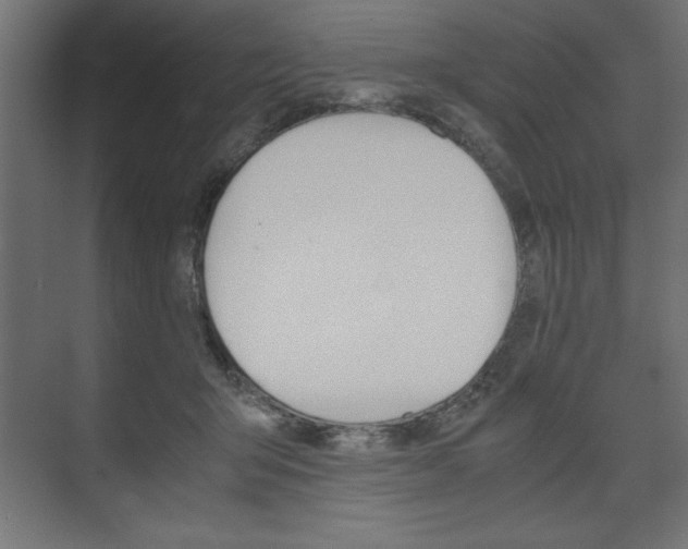 X0000074030415200608211141