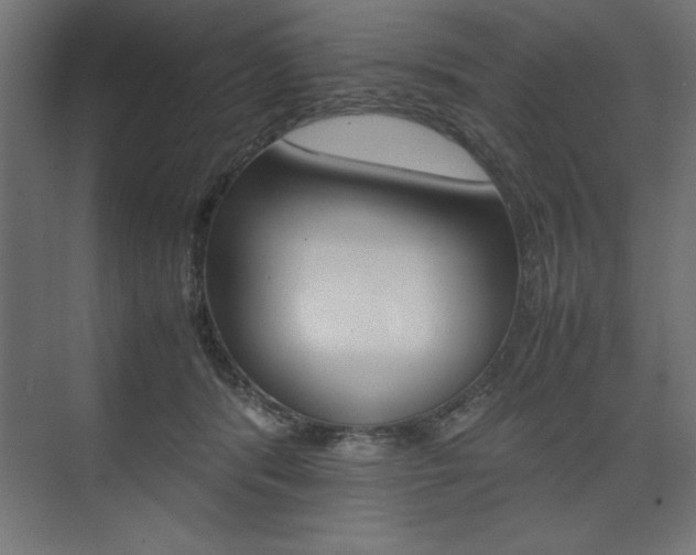 X0000074030416200608211141