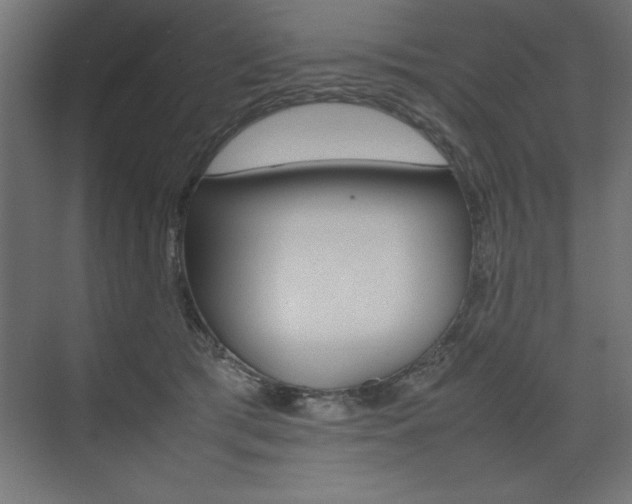 X0000074030417200608211141
