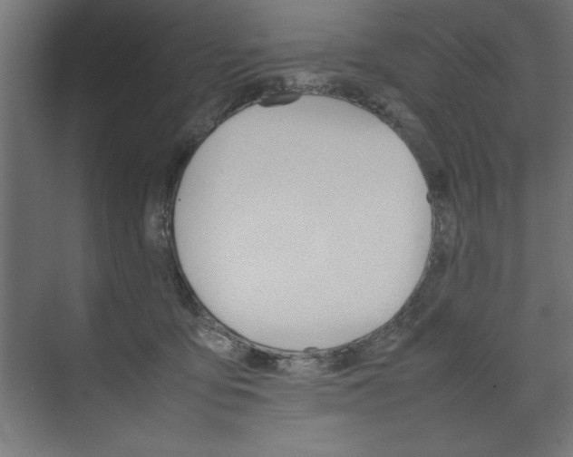 X0000074030419200608211141