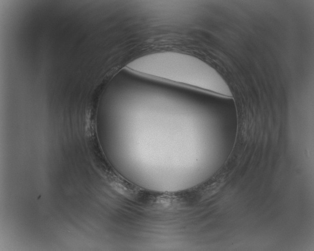 X0000074030420200608211141