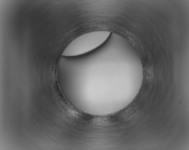 X0000074030422200608211141