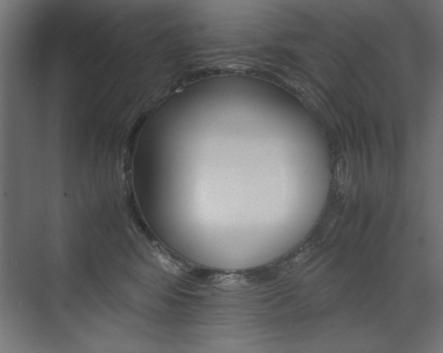 X0000074030424200608211141