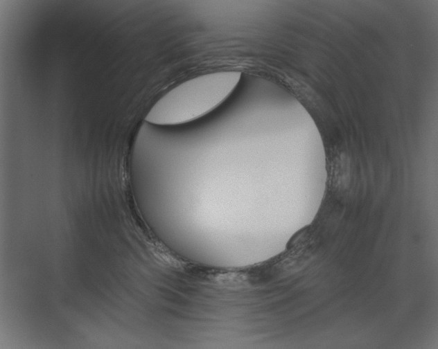 X0000074030426200608211141