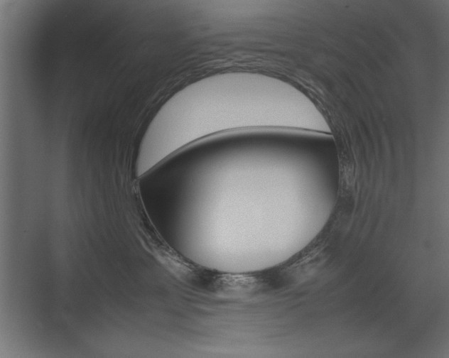 X0000074030429200608211141