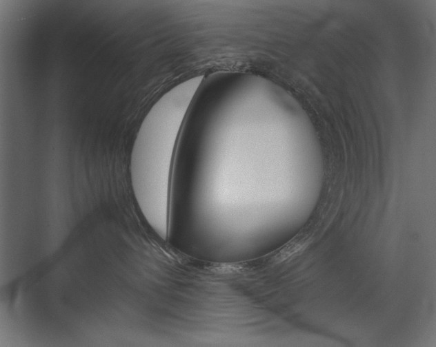X0000074030432200608211141