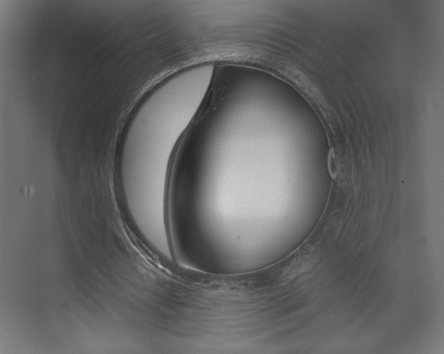X0000074030434200608211140