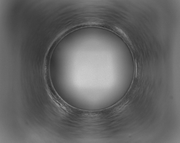 X0000074030435200608211140