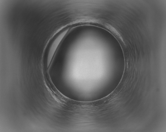 X0000074030436200608211140