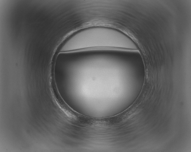 X0000074030438200608211140