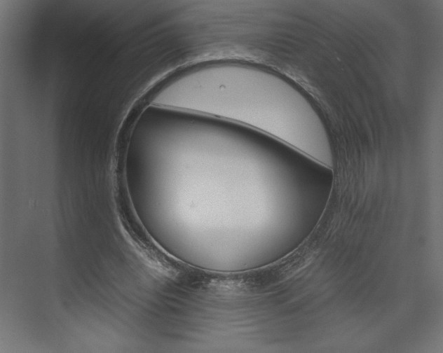 X0000074030440200608211140