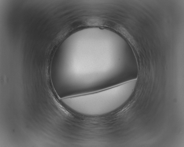 X0000074030441200608211140