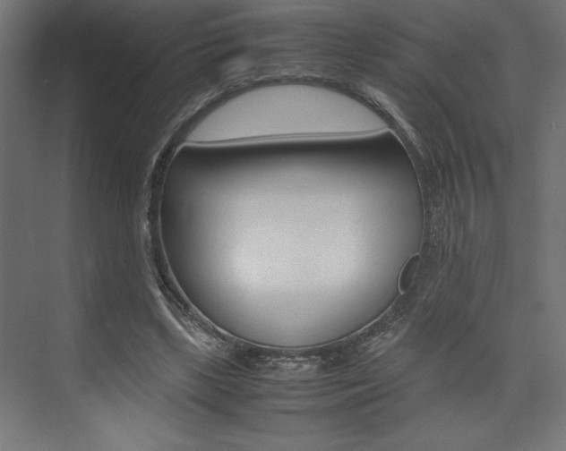 X0000074030443200608211140