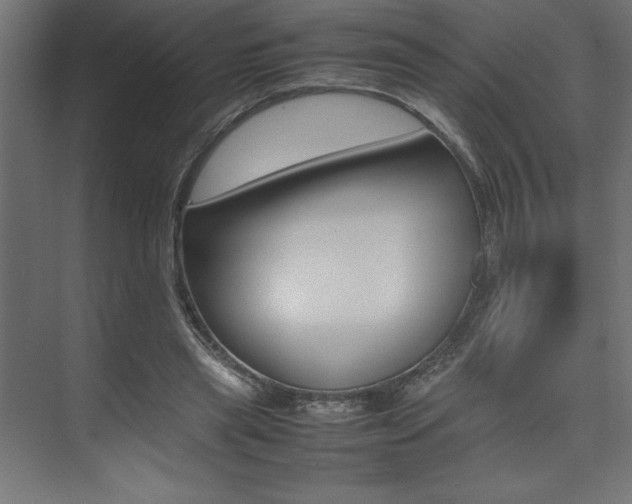 X0000074030445200608211140