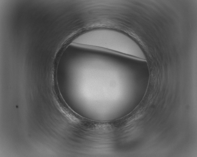 X0000074030446200608211140