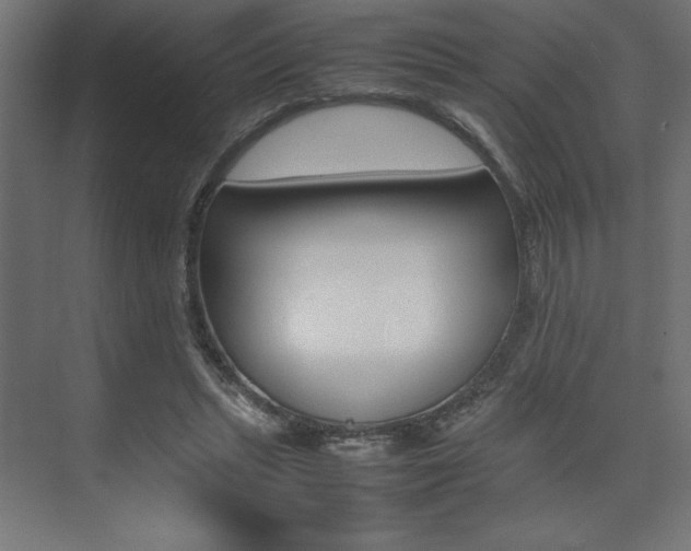 X0000074030447200608211140