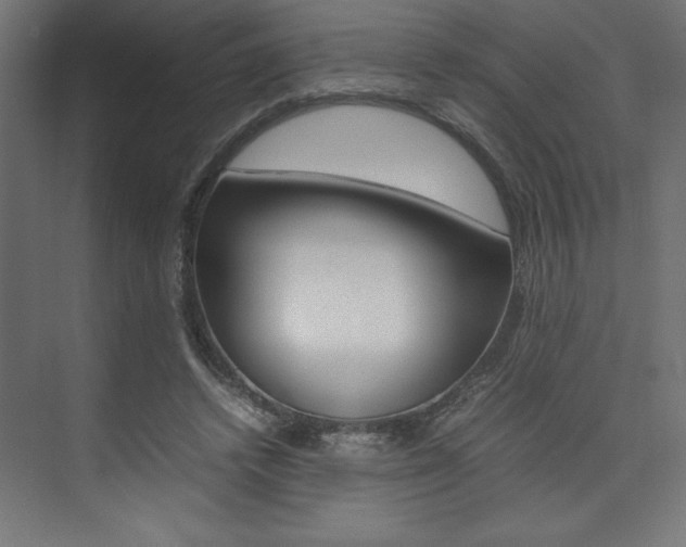 X0000074030448200608211140