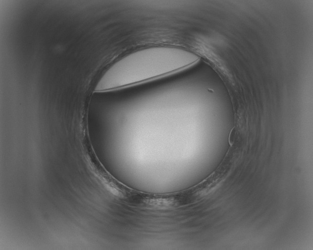X0000074030449200608211140