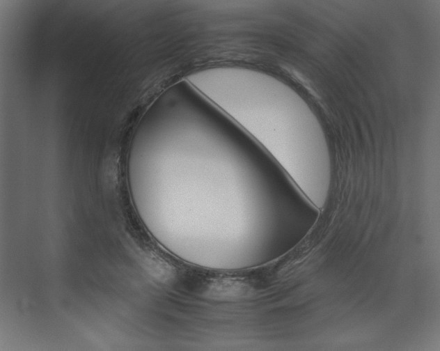 X0000074030451200608211140