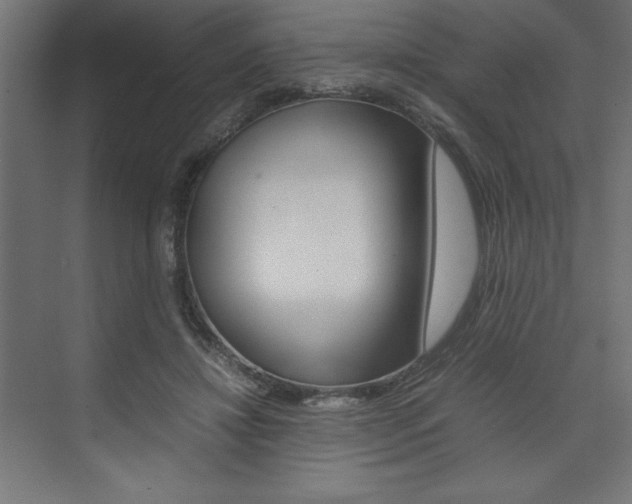 X0000074030452200608211140