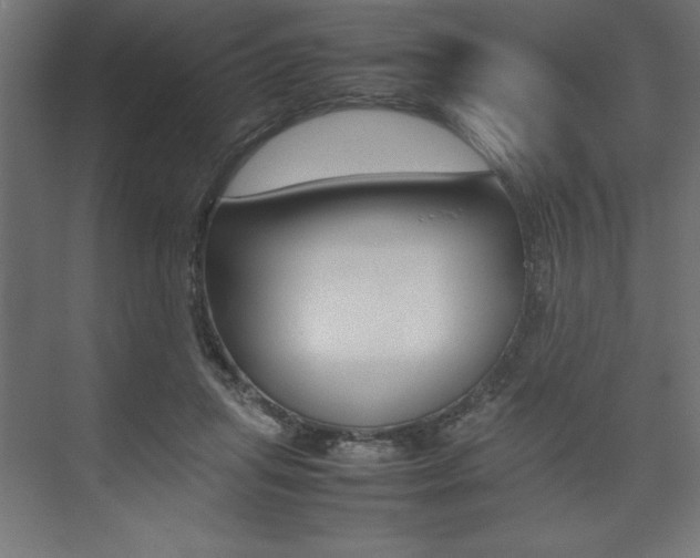 X0000074030455200608211140