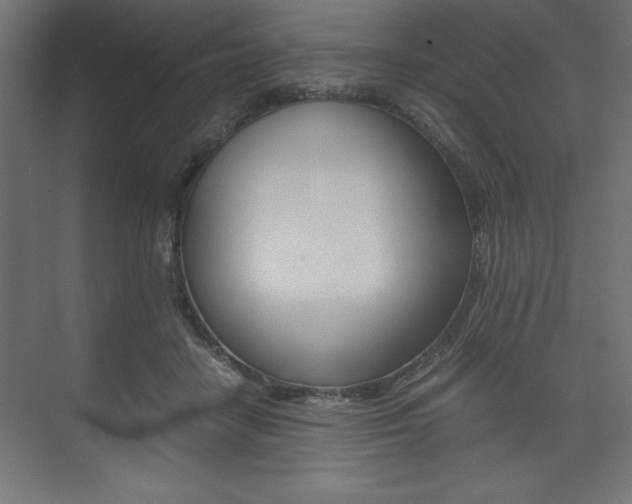 X0000074030458200608211140