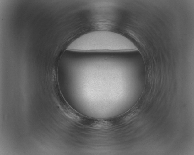 X0000074030459200608211140