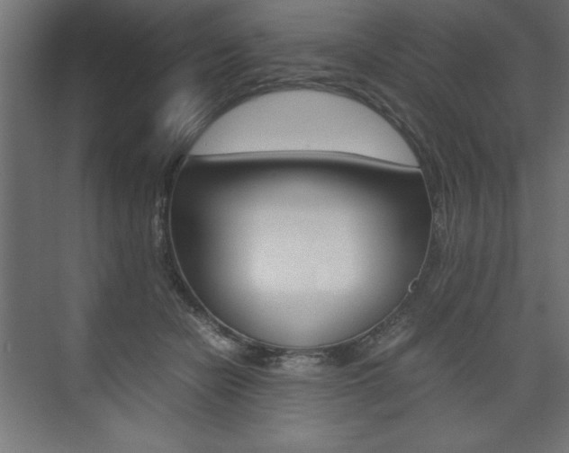 X0000074030462200608211141