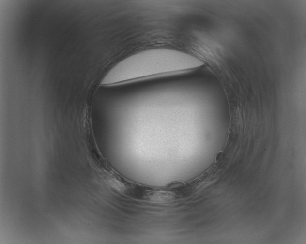 X0000074030463200608211141