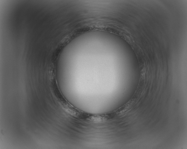 X0000074030464200608211141