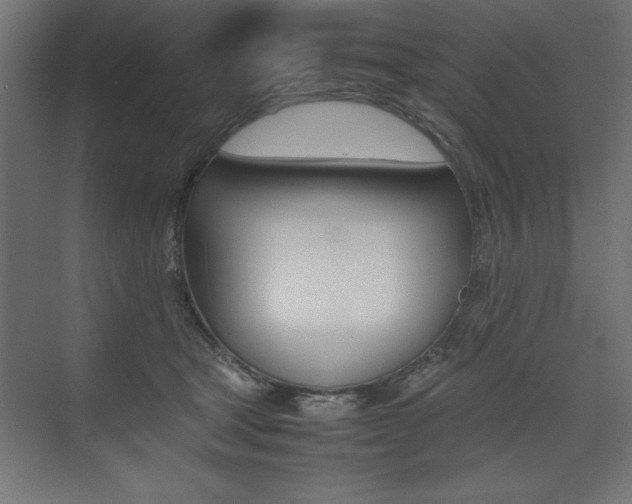 X0000074030465200608211141