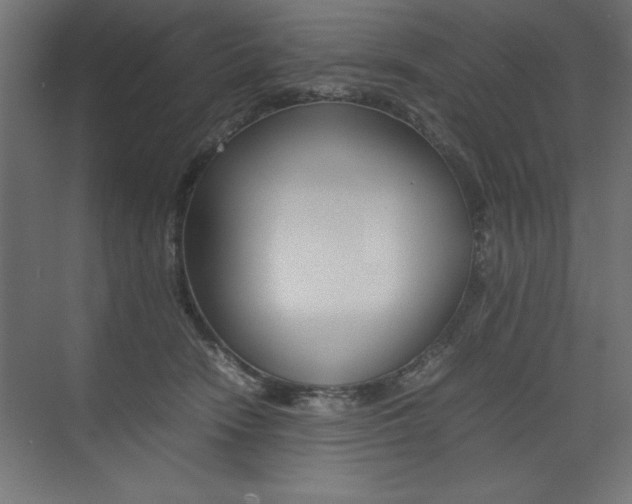 X0000074030466200608211141