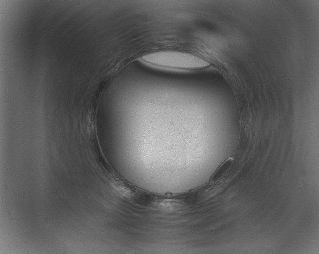 X0000074030467200608211141