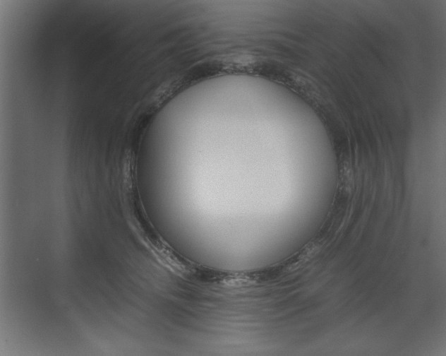 X0000074030468200608211141