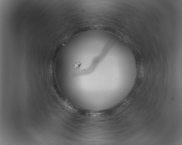X0000074030472200608211141