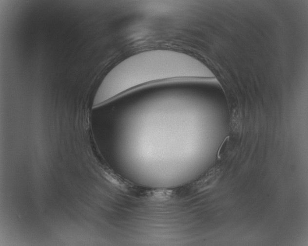 X0000074030474200608211141