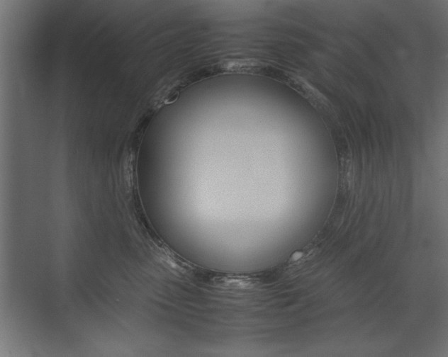 X0000074030475200608211141
