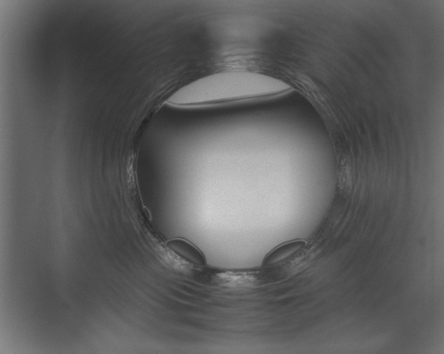 X0000074030477200608211141